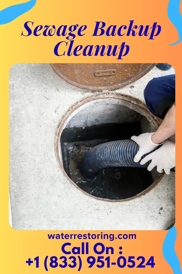 Sewage Backup Cleanup in Laurens, IA